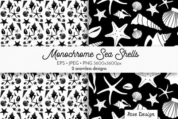 Sea Shells – Black and White Patterns